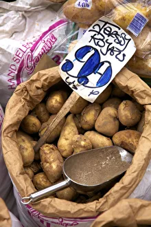 Jersey Royal Potatoes, Jersey, Channel Islands Jersey Royal Potatoes, Jersey, Channel Islands