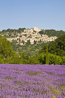 Lacoste & Lavender Fields, Luberon, Vaucluse Provence, France Lacoste & Lavender Fields, Luberon, Vaucluse Provence, France
