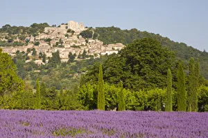 Lacoste & Lavender Fields, Luberon, Vaucluse Provence, France Lacoste & Lavender Fields, Luberon, Vaucluse Provence, France