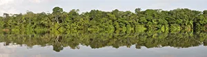 Lago de Tarapoto, Amazon River, near Puerto Narino, Colombia Lago de Tarapoto, Amazon River, near Puerto Narino, Colombia