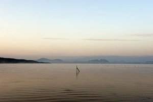 Lake Elementaita with fence post re-dawn, Kenya Lake Elementaita with fence post re-dawn, Kenya