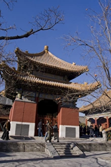 Lama Temple (Largest Buddhist Temple outside Tibet) Lama Temple (Largest Buddhist Temple outside Tibet)