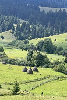 Landscape, Carpathians, Zakarpattia Oblast, Transcarpathia, Ukraine Landscape, Carpathians, Zakarpattia Oblast, Transcarpathia, Ukraine