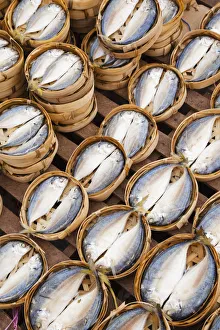 Laos, Vientiane, The Morning Market, Dried Fish Laos, Vientiane, The Morning Market, Dried Fish