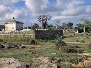 A large Mahafaly burial ground A large Mahafaly burial ground
