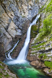 Images Dated 1st July 2015: lavica Fall (Slap Slavica), Triglav National Park, Upper Carniola, Slovenia