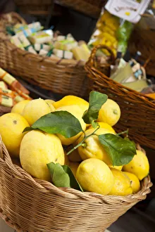 Lemons in basket, Manarola, Cinque Terre, Riviera di Levante, Liguria, Italy Lemons in basket, Manarola, Cinque Terre, Riviera di Levante, Liguria, Italy