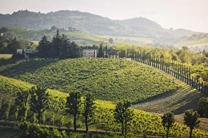 Levizzano Rangone, Castelvetro di Modena, Modena province, Emilia Romagna, Italy Levizzano Rangone, Castelvetro di Modena, Modena province, Emilia Romagna, Italy