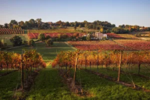 Levizzano Rangone scenery with vineyards, Levizzano Rangone Levizzano Rangone scenery with vineyards, Levizzano Rangone