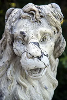 A lion figure in the Pavlovsk Park, Pavlovsk, near St Petersburg, Russia A lion figure in the Pavlovsk Park, Pavlovsk, near St Petersburg, Russia