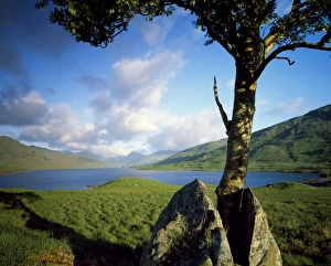 Western Europe Nature Photography Prints: Loch Arklet