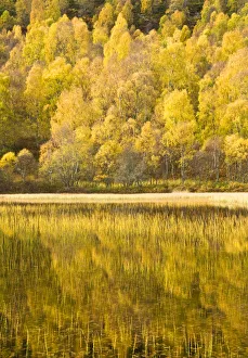 Loch reflections, Cairngorms National Park, Highlands, Scotland, UK Loch reflections, Cairngorms National Park, Highlands, Scotland, UK