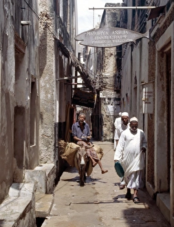A man rides a donkey in one of the narrow streets of Lamu town A man rides a donkey in one of the narrow streets of Lamu town