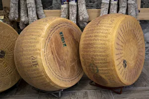The marked wheels of Parmigiano-Reggiano (Parmesan) cheese. Parma, Emilia Romagna, Italy The marked wheels of Parmigiano-Reggiano (Parmesan) cheese. Parma, Emilia Romagna, Italy