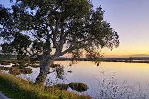 Marshes in the Sado Estuary Nature Reserve. Palmela, Portugal Marshes in the Sado Estuary Nature Reserve. Palmela, Portugal