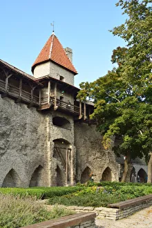 Medieval defence walls, dating back to the 14th century. Tallinn, Estonia Medieval defence walls, dating back to the 14th century. Tallinn, Estonia