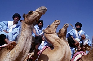 Meharistes, Soldiers Of The Desert, annual camel race Meharistes, Soldiers Of The Desert, annual camel race