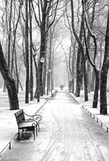 Mikhailovsky Gardens in winter, Saint Petersburg, Russia Mikhailovsky Gardens in winter, Saint Petersburg, Russia