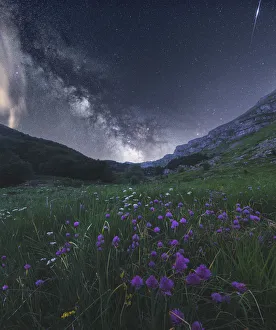 Milky way and wildflowers during late spring in the Appennines, Emilia Romagna, Italy Milky way and wildflowers during late spring in the Appennines, Emilia Romagna, Italy