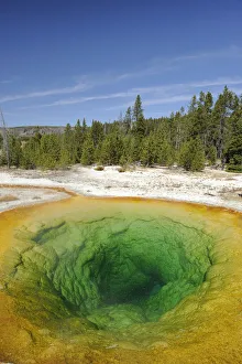 Morning Glory Pool, Yellowstone National Park, Wyoming, USA Morning Glory Pool, Yellowstone National Park, Wyoming, USA