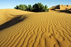 Images Dated 5th February 2006: Morocco Merzouga Erg Chebbi Sand Dunes Ripple