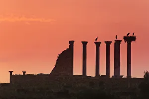 Morocco, Volubilis Archeological Site, Roman Ruins Morocco, Volubilis Archeological Site, Roman Ruins