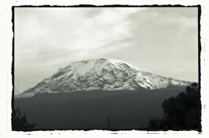 Mount Kilimanjaro with trees in front, from Tanzania Mount Kilimanjaro with trees in front, from Tanzania