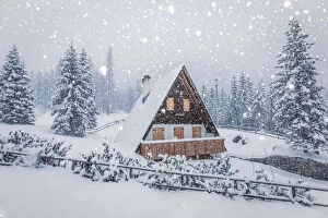 Agordino Collection: mountain chalet in winter under a heavy snowfall, malga ciapela, rocca pietore, belluno
