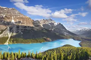 Canadian Rocky Prints: Mountain Landscape Print - Peyto Lake, Banff National Park