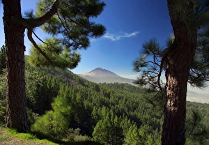 Mt. Teide, Tenerife, Canary Islands, Spain Mt. Teide, Tenerife, Canary Islands, Spain