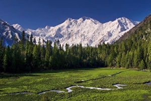 Nanga Parbat (Nangaparbat Peak) Nanga Parbat (Nangaparbat Peak)