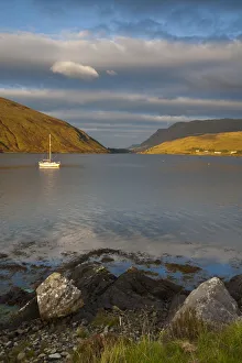 Near Leenane, Killary Harbour, Connemara, County Galway, Ireland Near Leenane, Killary Harbour, Connemara, County Galway, Ireland