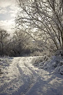 Newark, UK. Parnams island on the trent in snow Newark, UK. Parnams island on the trent in snow