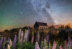 Night view of the Church of the Good Shepherd by Tekapo Lake with lupins in bloom Night view of the Church of the Good Shepherd by Tekapo Lake with lupins in bloom