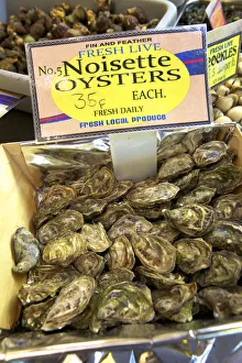 Noisette Oysters, Jersey, Channel Islands Noisette Oysters, Jersey, Channel Islands