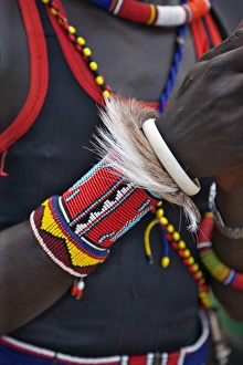 The ornaments of a Pokot warrior including a ring of goat skin which would have been slaughtered for a ceremony The ornaments of a Pokot warrior including a ring of goat skin which would have been slaughtered for a ceremony