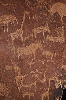 Overview of Bushman petroglyphs near caves formations Overview of Bushman petroglyphs near caves formations