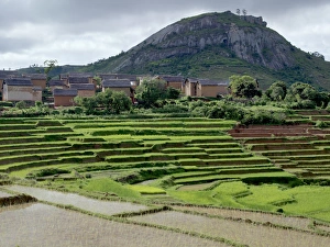 Paddy fields close to a small village near Fianarantsoa Paddy fields close to a small village near Fianarantsoa