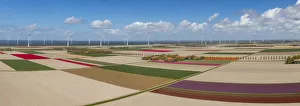 Panoramic aerial view of the tulip fields in North Holland, The Netherlands Panoramic aerial view of the tulip fields in North Holland, The Netherlands