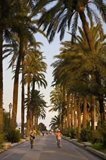 Passeig de Sagrera, Palma, Mallorca, Spain Passeig de Sagrera, Palma, Mallorca, Spain