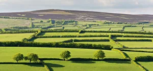 Somerset Countryside Prints: Patchwork rolling countryside below Dunkery Beacon, Exmoor, Somerset, England. Spring