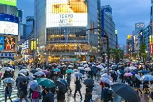 Images Dated 10th November 2015: Pedestrians with umbrellas Shibuya Crossing, one of the busiest crossings in the world