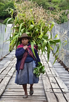 Peru, A woman with a load of maize stalks to feed to her pigs crosses a narrow bridge spanning the Urubamba Peru, A woman with a load of maize stalks to feed to her pigs crosses a narrow bridge spanning the Urubamba