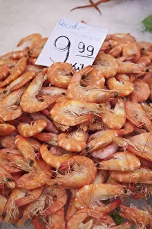 Prawns for sale, La Boqueria Market, Barcelona, Spain Prawns for sale, La Boqueria Market, Barcelona, Spain