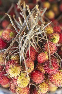 Rambutan at market, Kampong Cham, Cambodia Rambutan at market, Kampong Cham, Cambodia