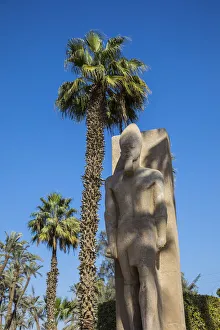Ramses II statue, Memphis (capital of Ancient Egypt), Nr. Cairo, Egypt Ramses II statue, Memphis (capital of Ancient Egypt), Nr. Cairo, Egypt