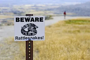 Rattlesnake Sign, Badlands National Park, South Dakota, USA Rattlesnake Sign, Badlands National Park, South Dakota, USA