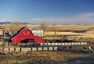 Red Barn, Pincher Creek, Alberta, Canada Red Barn, Pincher Creek, Alberta, Canada