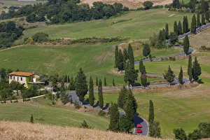 Red sports cars & winding Road lined with Cypress Trees, Tuscany, Italy Red sports cars & winding Road lined with Cypress Trees, Tuscany, Italy