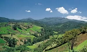 African Agriculture Collection: Rich farming country on the edge of the Aberdare Forest